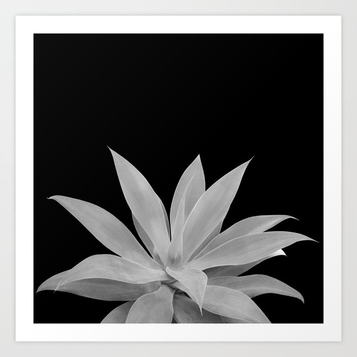 Black Gray Agave Vibes #1 #tropical #decor #art #society6 Art Print