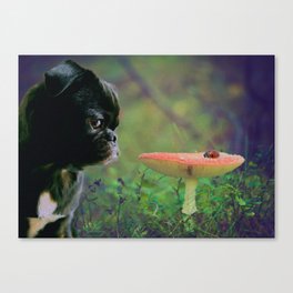 Pug and Ladybug Design Canvas Print