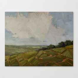 Champagne Fields Canvas Print