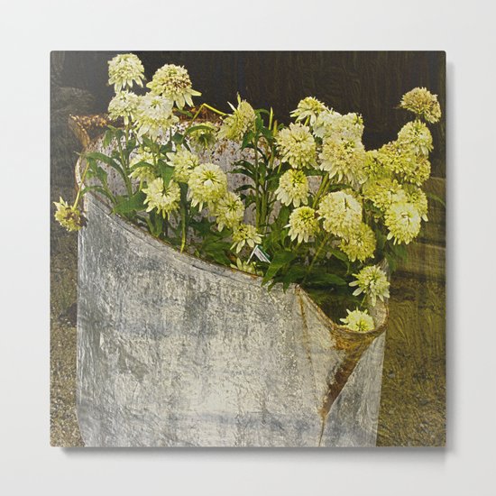 White Coneflowers Metal Print