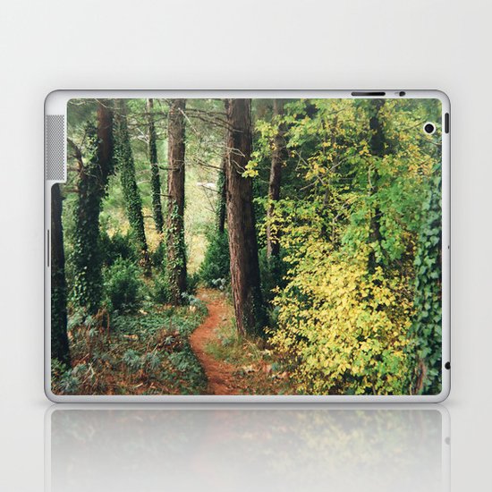 path Laptop & iPad Skin