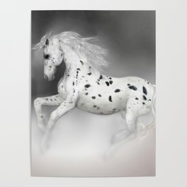 HORSE - Appaloosa Poster