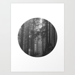 Black and White Circle Art - Foggy Forest  Photography No. 1 Art Print
