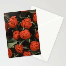 Tulips about to bloom in Kukenhof fields, Holland Stationery Card