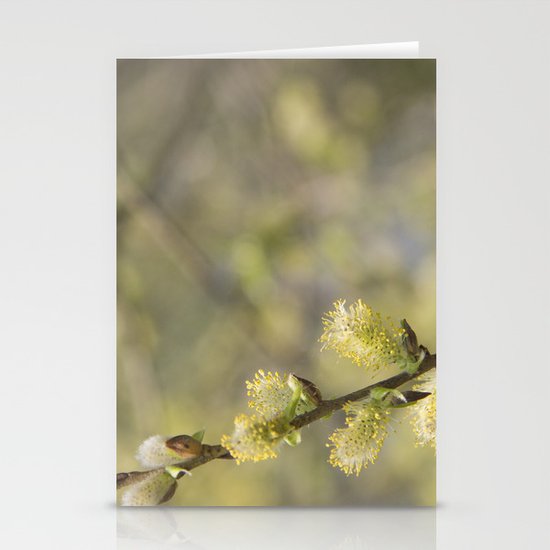 Spring Stationery Cards