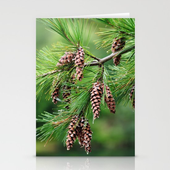 Pine cones Stationery Cards