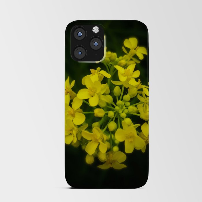 Decorative rapeseed flowers bouquet botanical cottagecore photography iPhone Card Case