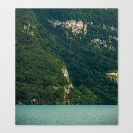 Souvenirs from Switzerland Canvas Print