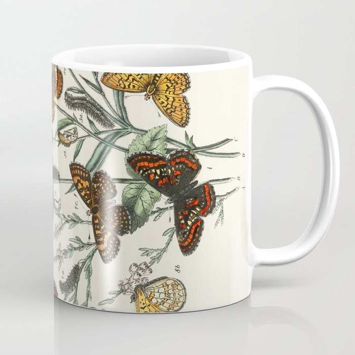 Vintage Butterfly and Moths Illustration by William Forsell Kirby 1883 Coffee Mug