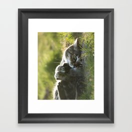 silly face Framed Art Print