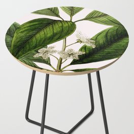 T U L I S S A . Side Table