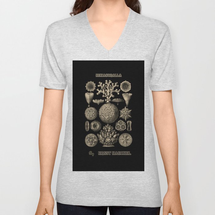 “Hexacoralla” from “Art Forms of Nature” by Ernst Haeckel V Neck T Shirt