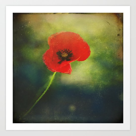 I found a Poppy Art Print
