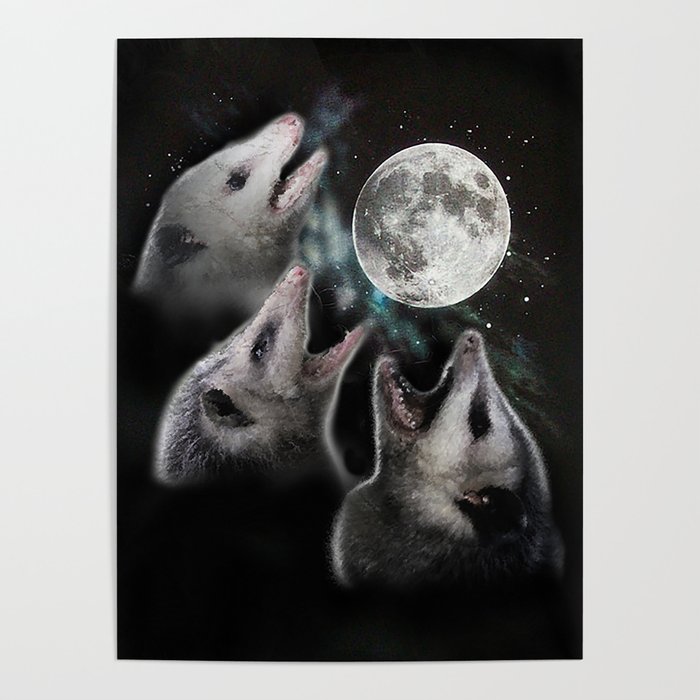 3 opossum moon Poster
