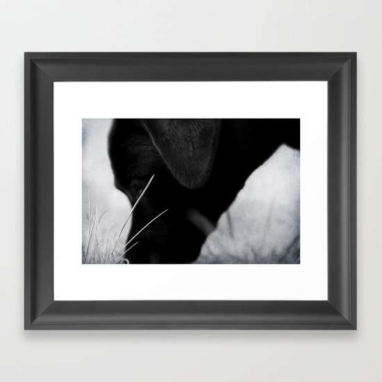 dog Framed Art Print