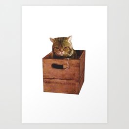 Cat in the box Art Print