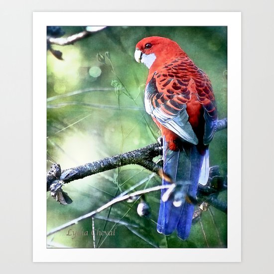 little piece of heaven Art Print