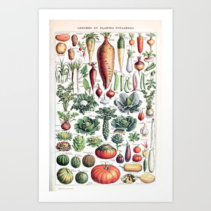 Adolphe Millot - Légumes pour tous - French vintage poster Kunstdrucke