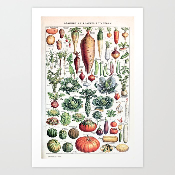 Adolphe Millot - Légumes pour tous - French vintage poster Kunstdrucke Adolphe Millot - Légumes pour tous - French vintage poster Kunstdrucke