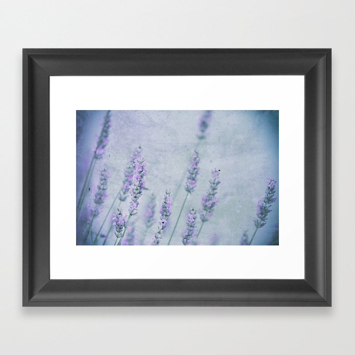 Lavender Blue Framed Art Print