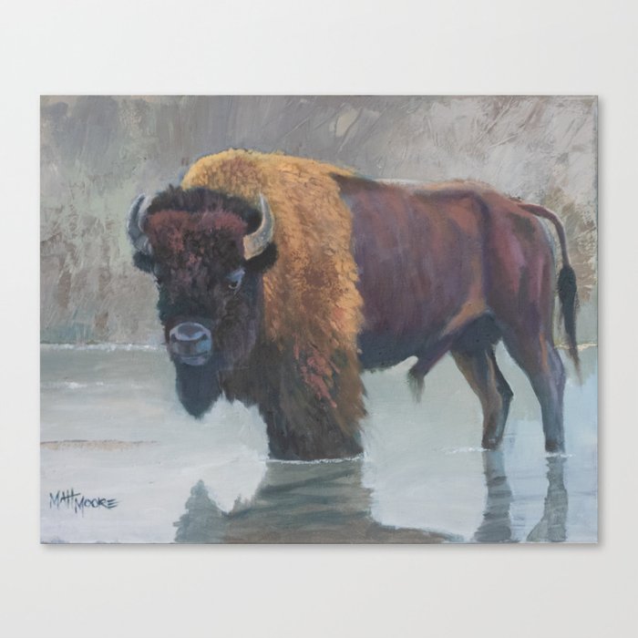 Bison Reflections Canvas Print