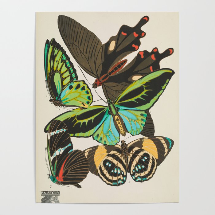 Butterfly and Moth Print by E.A. Seguy, 1920s #19 Poster