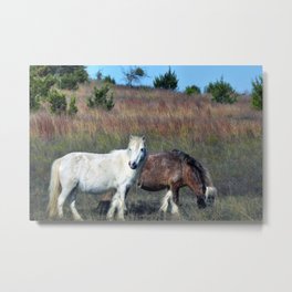 Miniature horses Metal Print | Photo, Mammals, Miniaturehorses, Rural, Farmanimal, Animal, Hdr, Mammal, Domesticanimals, Texashillcountry 