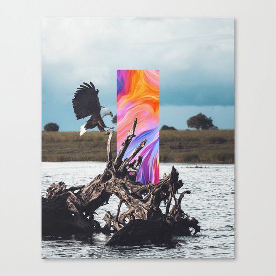H/26 Canvas Print