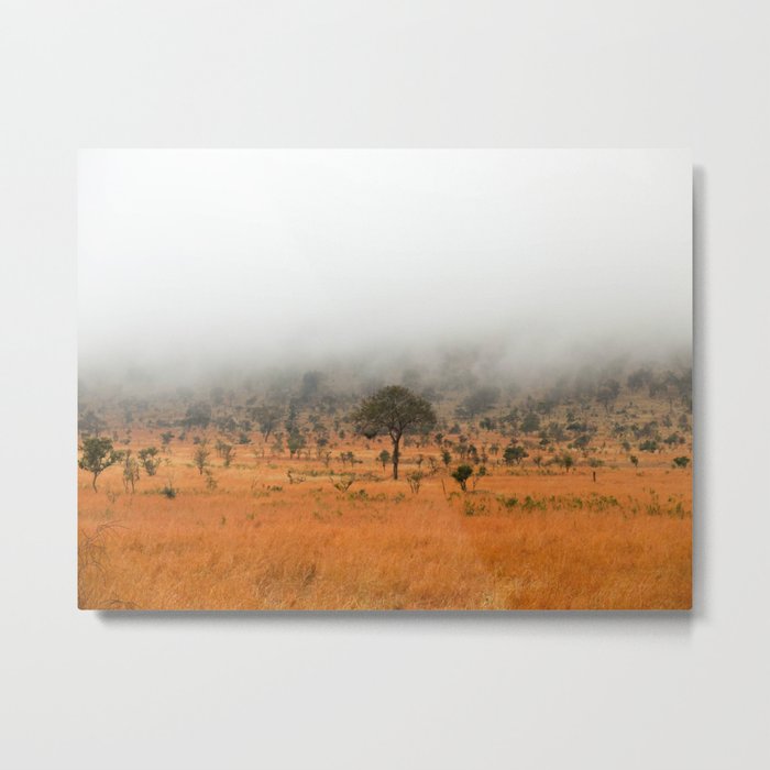 safari fog Metal Print