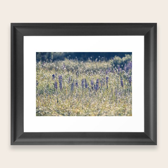 Meadow Framed Art Print