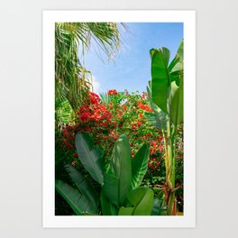 Lush Tropicals Art Print