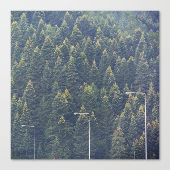 Forest Canvas Print