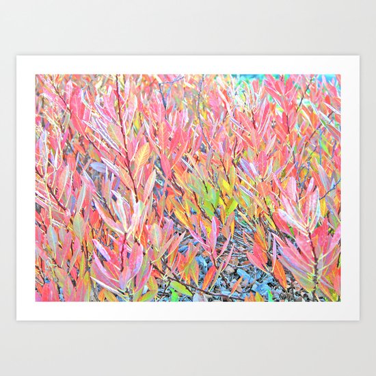 Autumn Pastels Art Print