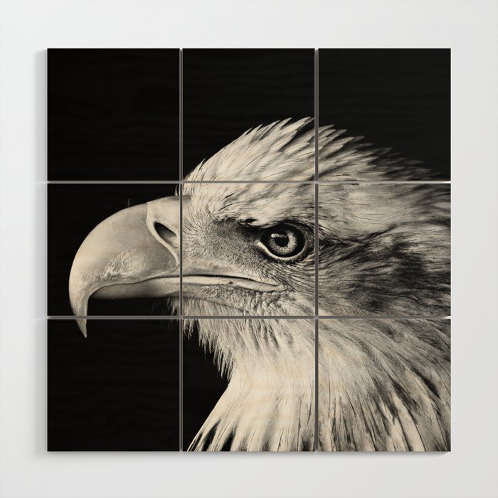 American bald eagle nature animal kingdom portrait black and white photograph - photography - photographs Wood Wall Art