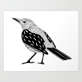 Black bird Art Print