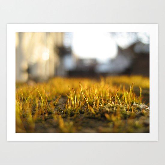 Brooklyn Moss Art Print