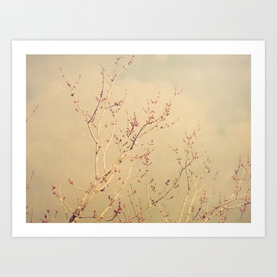 Vintage February Branches Art Print