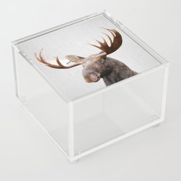 Moose - Colorful Acrylic Box