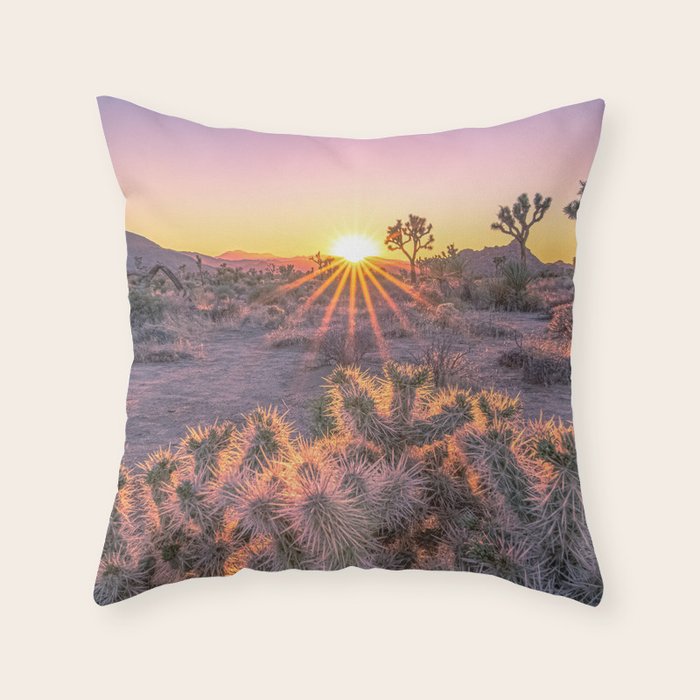 Throw Pillow