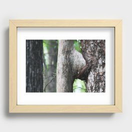 Tree sex  Recessed Framed Print