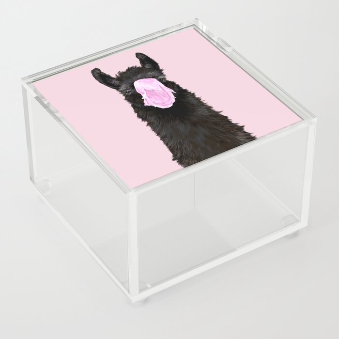 Bubble Gum Popped on Black Llama (3 in series of 3)  Acrylic Box