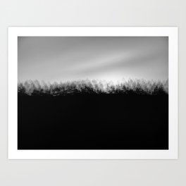 Pine Trees High Res Black and White Landscape Photography Art Print