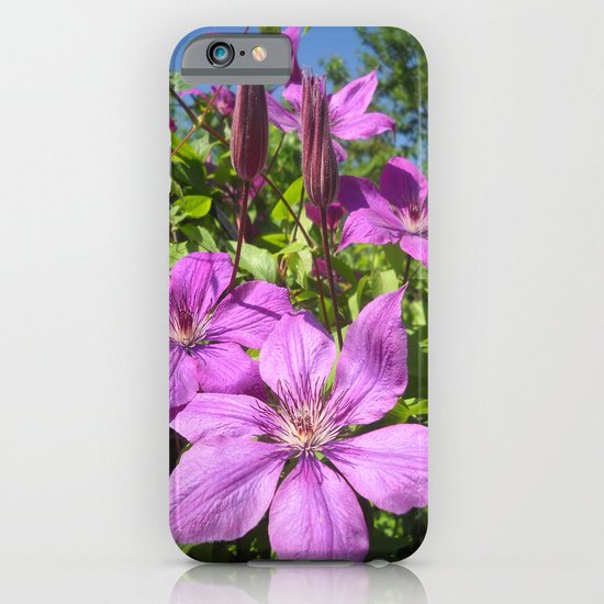 Clematises iPhone & iPod Case