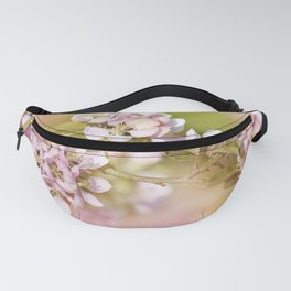Spring 0102 Fanny Pack