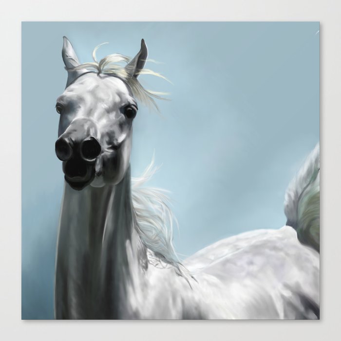 Arabian White Horse Painting Canvas Print By Limitlessdesign
