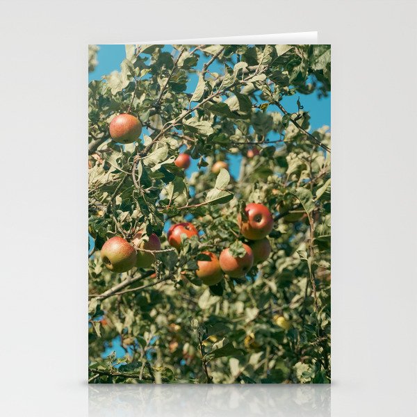 Apple Tree Stationery Cards