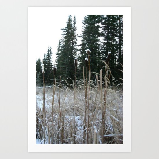 Falltime in Watervalley Art Print