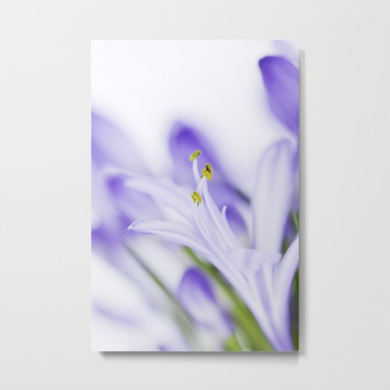 Daydreamer Metal Print