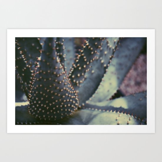 Prickly Succulent Art Print