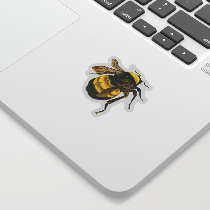 Vintage Scientific Bee Sticker